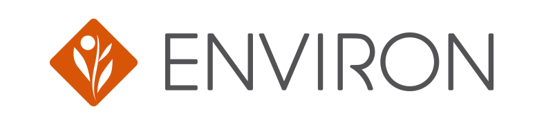 Environ Logo